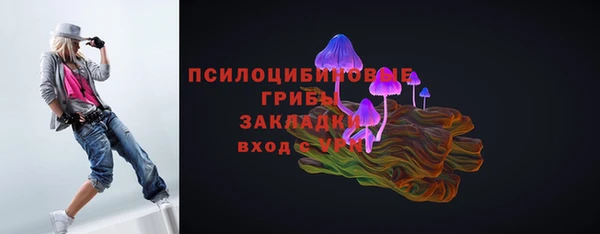 круглые Алзамай