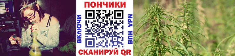 наркота  Шахты  мега tor  МАРИХУАНА ГИДРОПОН 